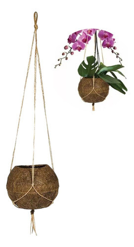 Kit 03 Vaso Flores Kokedama Fibra Coco Coquim Orquídeas 1