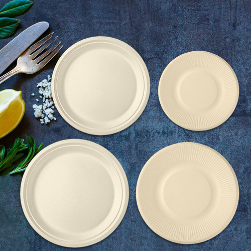 Terno De Mesa Descartável Em Polegadas, Churrascos, Piqueniq 1