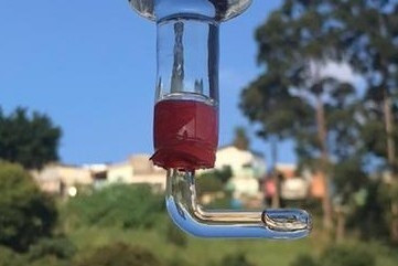 02 Bicos Vidro Gancho Bebedouros Beija Flor Vedação Total! 0