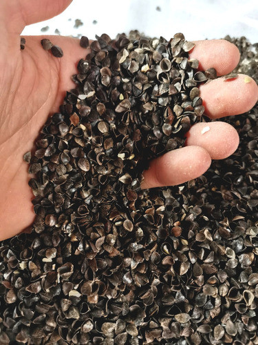 Casca Trigo Sarraceno Enchimento Almofadas Travesseiros 1 Kg 1