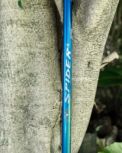 Caña  Pejerrey Spider 370 4 Tramos Albatros 1