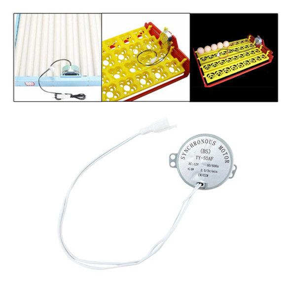 4 Componentes Do Motor Do Virador De Ovo De Galinha Para 1