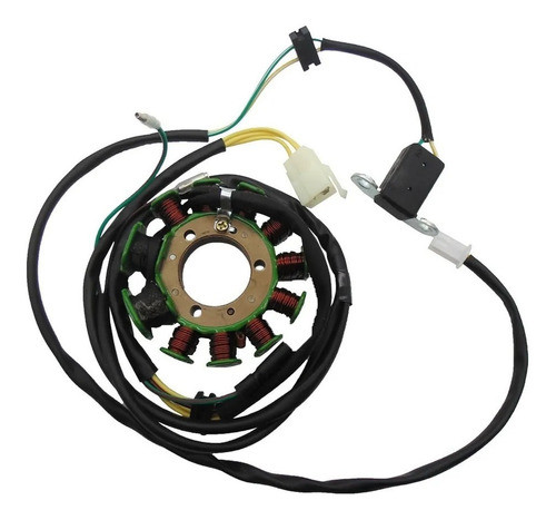 Estator Com Bobina Shineray Custom 250-5 Todos Os Anos 1