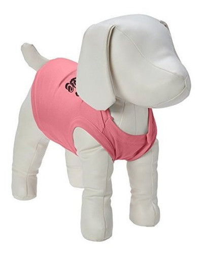 Mirage Pet Products 12inch Its About Me Screen Imprimir Cami 0