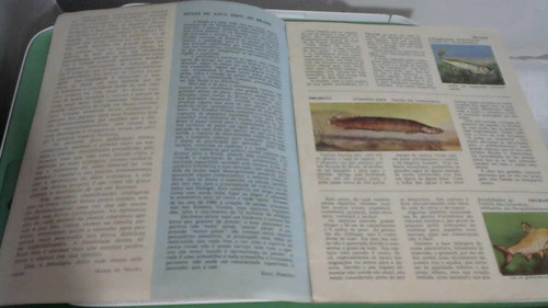 Álbum Figurinha - Peixes De Água Doce - Completo  Edit Panda 1