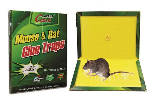 Atrapa Pega Ratas Lauchas Roedores Trampa Pegamentosa 26x36 1