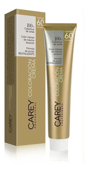 Tinta Carey Profesional 60 G N°b.91 0