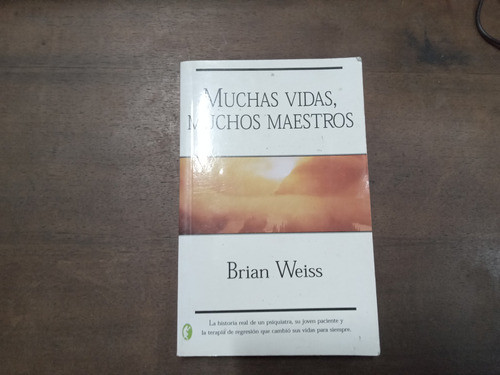 Libro Muchas Vidas  Muchos Maestros 0