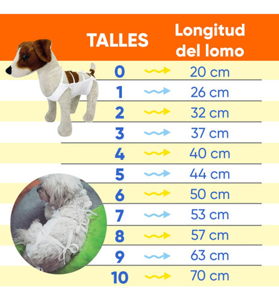 Chaleco Post Quirurgico Perros Gatos Camisolin Faja Talle 5 1 Chaleco Post Quirurgico Perros Gatos Camisolin Faja Talle 5 1