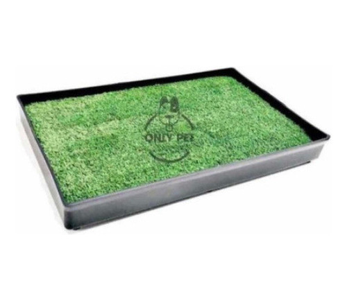 2 Unidades De Pasto Sintético De  Bandeja Sanitaria Talle L 1