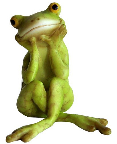 Top Colección De Jardín De Hadas En Miniatura Y Rana De Terr 0