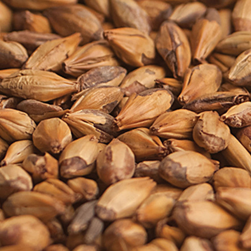 Malta Caramelo 120 Maltear  1 Kg. Molido Cerveza 0