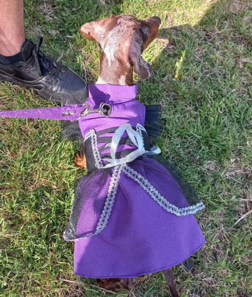 Disfraz De Bruja Para Perritas Pequeñas 1