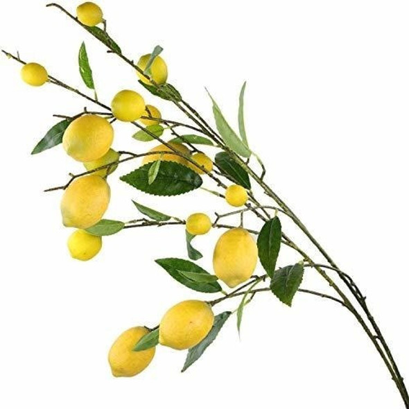 Ramas De Limon Artificial Rinlong 0