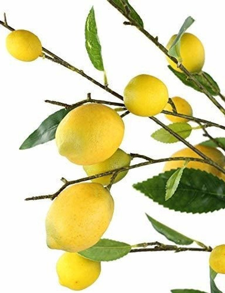 Ramas De Limon Artificial Rinlong 1
