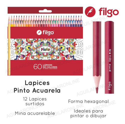 3 Caja 60 Lápices Colores Surtidos Filgo Pinto Largos Resina 1