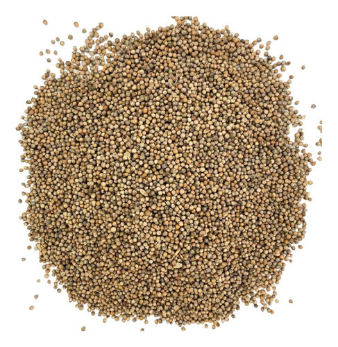 Coentro Em Grão 500g 1