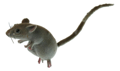 Estátua De Rato Realista, Jardim, Estatuetas De Animais, Jar 1