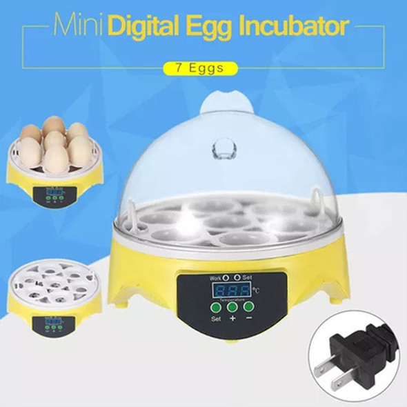 Para Shaoke Mini Incubadora Automática Barata Pequena E 1