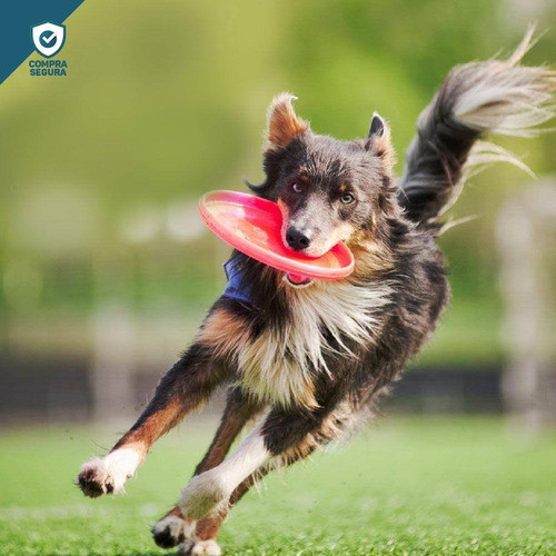 Brinquedo Sanremo Pet Frisbee Dog Na Cor Rosa 1