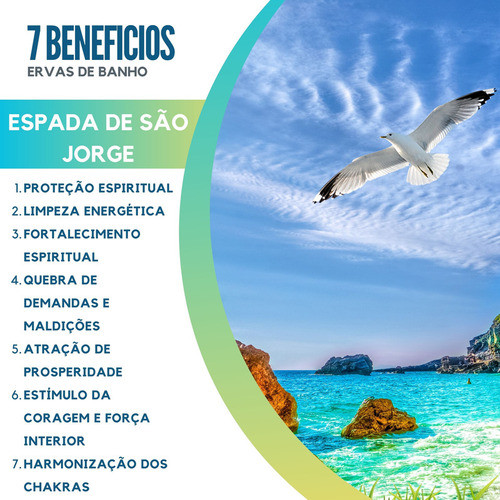 Ervas De Banho Artemísia E Guiné Seca Ritualística 1
