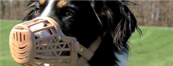 Bozal Canasta Plástico Regulable Medium Extra N°5 Perros 1 Bozal Canasta Plástico Regulable Medium Extra N°5 Perros 1