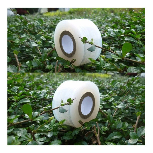 Kit 10 Fita Profissional Enxertia Rosas Do Deserto Plantas 1