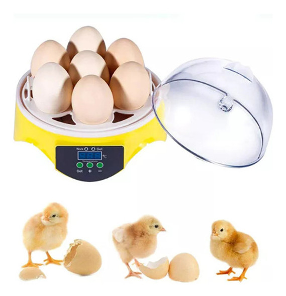 Mini Incubadora Digital Automática De Ovos Para 7 Ovos 0