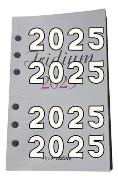 Respuesto De Agenda 2021 Platino Iridium Página X Día 0