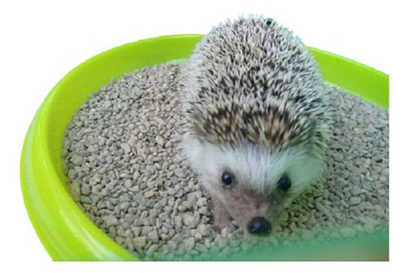 Arena-piedra Sanitaria Pequeña Mascota Erizo,cobaya,hamster. 0