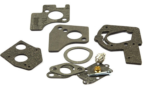 Kit Reparacion Compatible Briggs & Stratton 495606 494624 1
