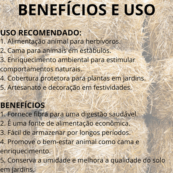 Feno Fardo 1kg Para Cavalo Roedores Alimento Forragem 1