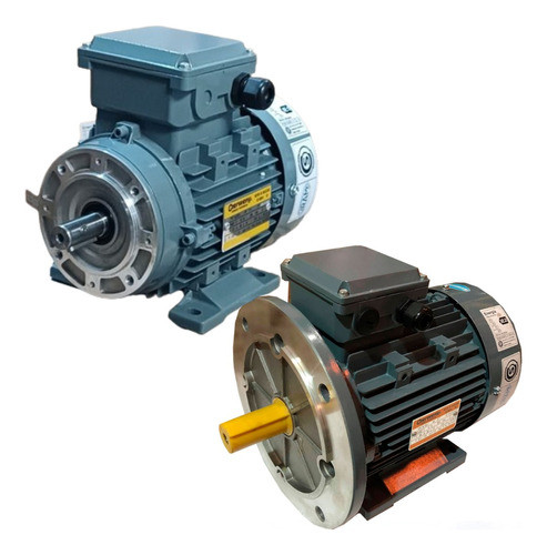 Motor Trifasico Czerweny 0,25 Hp 3000 Rpm Brida B35 - Eje 11 0