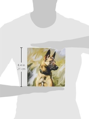 3drose Llc 8 x 8 x 0.25 inches Mouse Pad, Belga Malinois 1