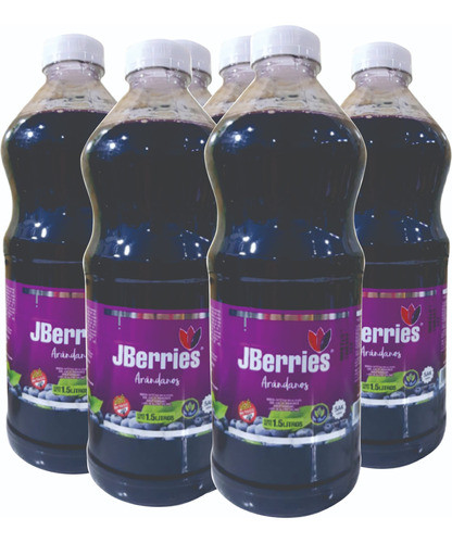 Jugo Arandanos Stevia Jberries Sin Azucar Pack X6 X1.5lt 0