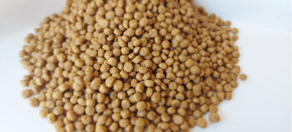 Alimento Balanceado Para Peces Agua Fría X 5 Kilos 1