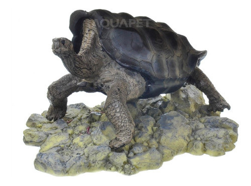 Nomoypet Enfeite Para Terrários Tartaruga Galápagos A8 1