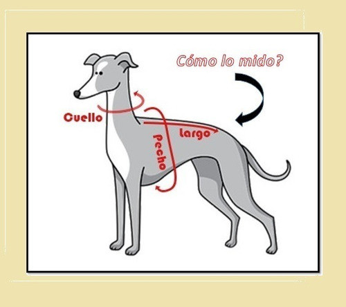 Polar Perro Liso Talle 1 Largo 25 Cm 1