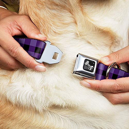 Cuello De Perro Con Hebilla Y Cinturon De Seguridad - Bufa 1