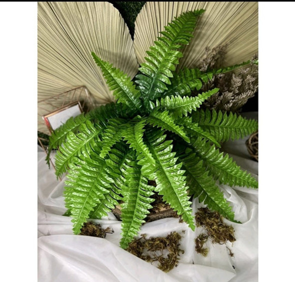 1 Samambaia Artificial 53 Cm Plantas/parede Folhagem 0