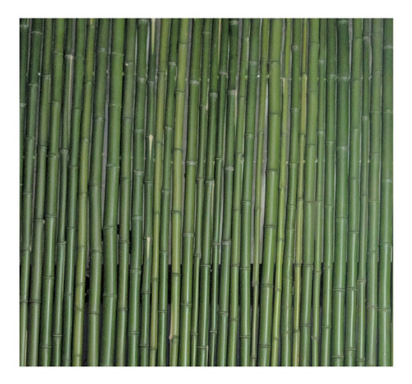 Cercos De Cañas 0 Cercos De Cañas 0