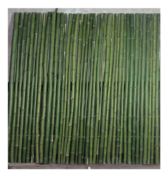 Cercos De Cañas 1 Cercos De Cañas 1