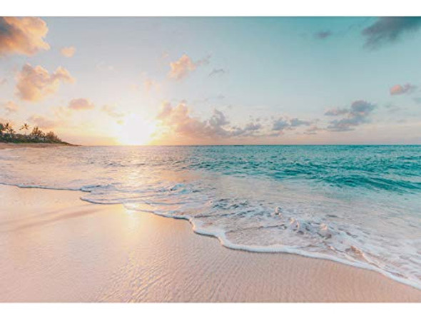 Telones De Fondo De Playa Marina De Leowefowa De 10 X 6.5 Pi 1