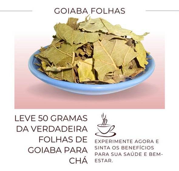 Chá Goiabeira Folhas Ervas Natural Alta Qualidade 1