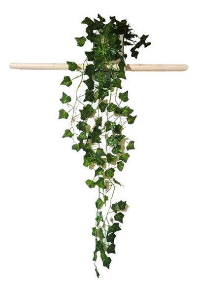 Planta Pendente Folhas De Heras Prateleira Vaso Espelho Luxo 0