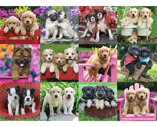 Puzzle Amigos Cachorros 500 Piezas- Ravensburger 1