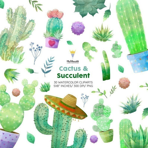 Cliparts Imagenes Png Cactus Suculentas Acuarela M9 0