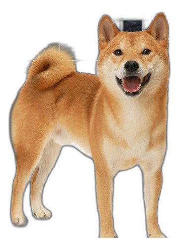 Barrera Para Perros Sailnovo Para Coches Suv Barrera Ajustab 1