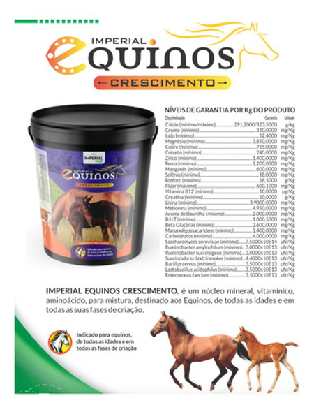 Suplemento Para Potros Em Crescimento Com Creatina 1kg. 1