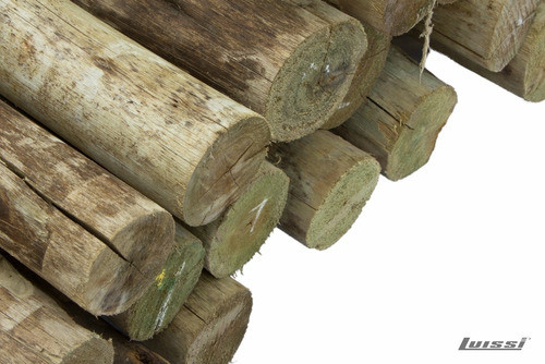 Postes Tratados Cca De 4,50mt De 23 A 26cm Con Marca A Fuego 1